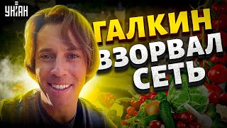 Это хит Галкин взорвал сеть новым видео Пугачева довела россиян до истерики [upl. by Ephraim]