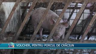 VOUCHER PENTRU PORCUL DE CRĂCIUN [upl. by Gertruda]