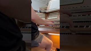 Beethoven Allegro GDur Klais Orgel Stift Haug Kirche Würzburg Suite 3 Satz Shorts [upl. by Mccall217]