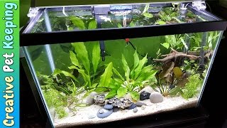 HOW TO setup a 20 Gallon Planted Aquarium 🌱🌿💧 Substrate and Supplies [upl. by Ttekcirc]