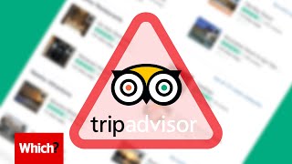 TripAdvisor’s fake hotel reviews  Which [upl. by Inna]