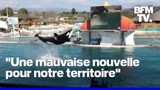 Marineland projette une fermeture définitive à compter du 5 janvier 2025 [upl. by Nelaf183]