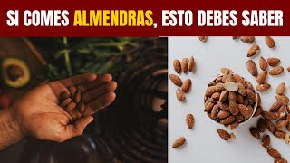 SEMILLAS DE ALMENDRAS por qué comerlas todos los días [upl. by Malek]