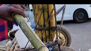 Street Hustle Live Selling Fresh Juicy Sugarcane in Kenya [upl. by Gussy]