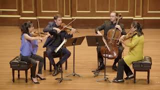 Haydn Quartet Op 20 No2 1 Moderato [upl. by Devonne73]