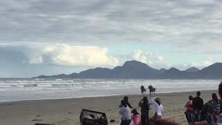 Corrida de cavalos na praia do gaivotas o inglesao [upl. by Rim]