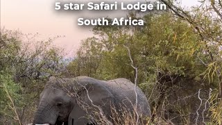 SAVE this video if you’d like to experience the ultimate soft life in a luxury safari tent 🐘🛖💫 [upl. by Yetty144]