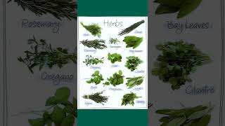 Herbs names ☺️ analysis English english vocabluary languagelearning spokenenglish [upl. by Streeter216]