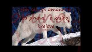 Big Wolf  Tvorrosa diss Sela Aka Boszman [upl. by Retrac]