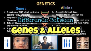 Difference between Gene and Allele  Genetics  Evolution  Tamil  Biology  ThiNK VISION  tnkumar [upl. by Allix]