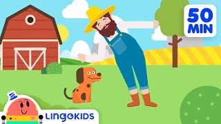 BINGO THE DOG 🐶 More Popular Songs for Kids  Lingokids [upl. by Yrmac325]