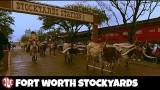 360 Stockyards Station Fort Worth Texas [upl. by Terza]