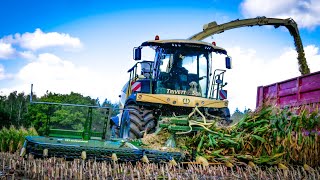 Maize Harvest  Krone Big X 780  Case IH 240 CVX  John Deere 6155R  Fendt 936  Trivett amp Son [upl. by Gord]