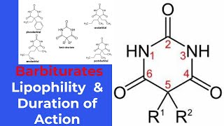 structureactivity relationship SAR of barbiturates [upl. by Kline956]