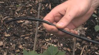 Drip Irrigation Basics [upl. by Tteragram658]