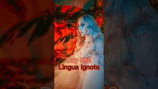 Where do you start with Lingua Ignota [upl. by Hittel]