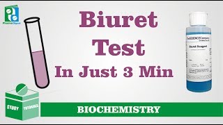 GCSE Science Biology 91  Food Tests  Required Practical [upl. by Berner683]