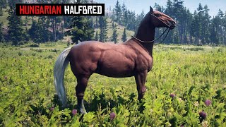 How to Get the Hungarian Halfbred Flaxen Chestnut Horse  Fittest Chestnut Horse in RDR2 [upl. by Aehtla]