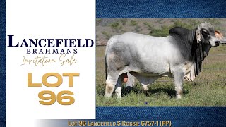 Lot 96 Lancefield S Robbie 6757  1 PP [upl. by Sorcha]