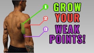 The Best ScienceBased Triceps Exercises for Each Head Work Your Weak Points [upl. by Anerok]