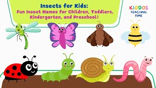 Insects for Kids Fun Insect Names for Children Toddlers Kindergarten and Preschool [upl. by Camus]