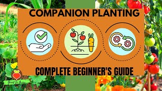 Complete Beginners Guide to Companion Planting [upl. by Kerry]