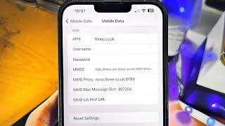 ANY iPhone How To Access APN Settings [upl. by Notrem264]