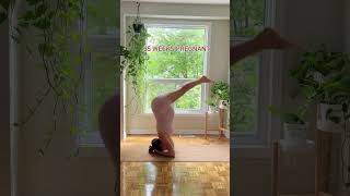 35 week pregnant woman workout pregnant women exercise shorts [upl. by Desdemona920]