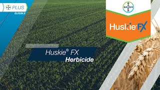 Huskie® FX Herbicide [upl. by O'Gowan541]