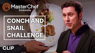 Conch and Sea Snails Elimination Challenge  MasterChef Canada  MasterChef World [upl. by Omik]