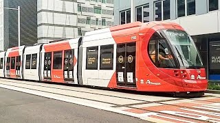 Parramatta light rail daytime testing Brand new Crossing George Street [upl. by Nilok]