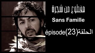 MA9TOU3 MEN CHAJARA SANS FAMILLE Épisode مقطوع من شجرة الحلقة 23 [upl. by Eseenaj]