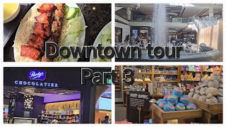 Toronto Eaton center 🤗  lunch at Kabul Express 🍽  Downtown tour part 3  DAILY VLOGS ✨️ [upl. by Bonilla595]