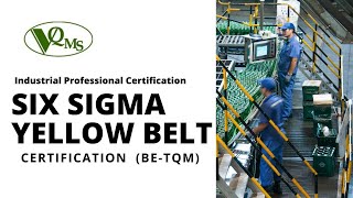 Six Sigma Yellow Belt certification [upl. by Alfie]