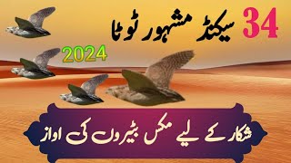 Raat ke awaz bater ka shikar kay liayNight hunting2024quail hunting bater [upl. by Landel874]