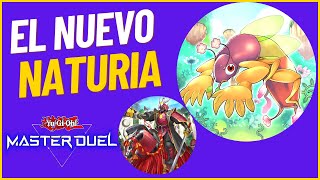 El Mejor Deck 🌳Naturia Runick🧚🏻‍♀️ ┃GUÍA ACTUALIZADA┃ YuGiOh Master Duel 2023 [upl. by Hughie]