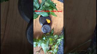 Homemade soap making video nechuralsoap tranding ytshorts ￼￼ [upl. by Adnoma773]