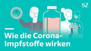 Wie die CoronaImpfstoffe im Körper wirken [upl. by Arita567]