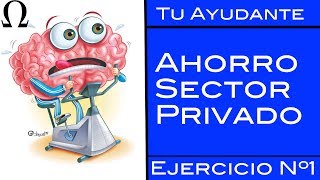 Ahorro Sector Privado  LR Ejercicio Nº1  Tu Ayudante Economía [upl. by Roban]