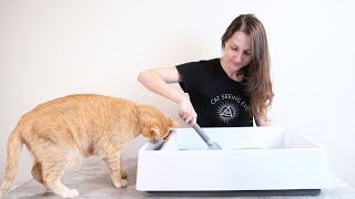 How to Clean Your Cats Litter Box Everything You Need to Know [upl. by Eniron139]