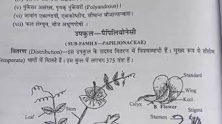 12th Krishi vigyan410 L18Sub Family  Papilionaceae [upl. by Ruamaj296]