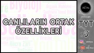 1 Canlıların Ortak Özellikleri [upl. by Rabjohn]