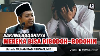 Saking Bodohnya Mereka Bisa DibodohBodohin  Ustadz Muhammad Ridwan [upl. by Melodie880]