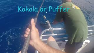 Maui Fishing with UFO Adventures June 30 2017 [upl. by Adias477]