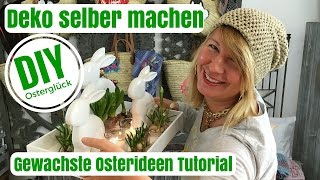 DIYDeko Ideen selber machen  Gewachste Osterideen  von Imke Riedebusch [upl. by Ham]