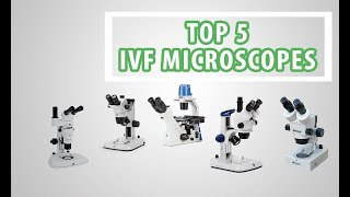 The 5 best IVF microscopes for In Vitro Fertilization Process  VackerGlobal [upl. by Nidak543]