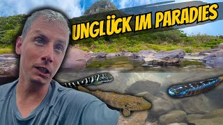 Der Fluss ist voll mit AQUARIENFISCHEN 😱  Sascha Hoyer Taiwan Vlog [upl. by Anyrb]