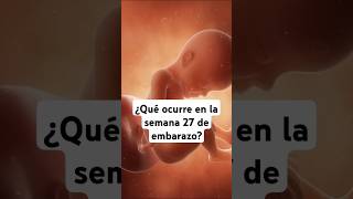 🤔 ¿Qué ocurre en la semana 27 de embarazo 🤰 Síntomas y desarrollo del bebé [upl. by Divad275]