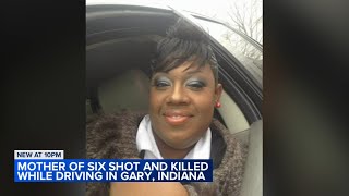 Daughter seeks answers after mother of 6 fatally shot while driving in Gary Indiana [upl. by Fraya]