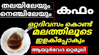 തലയിലെയും നെഞ്ചിലേയും കഫം പൂർണ്ണമായും ഇളകിപോകുന്ന അത്ഭുത റെമഡി [upl. by Iliak]